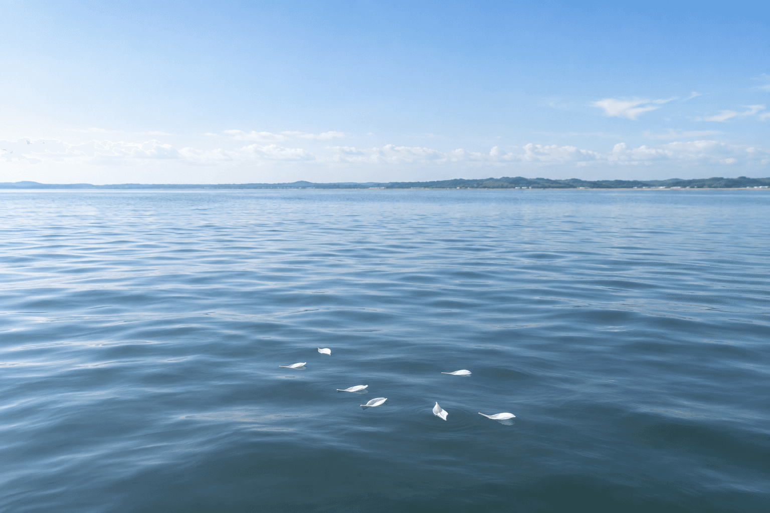 伊勢湾をイメージした穏やかな海景