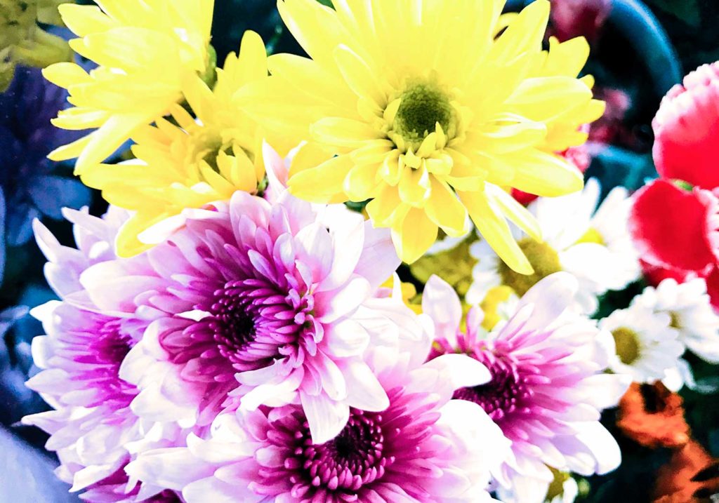 仏花の種類について