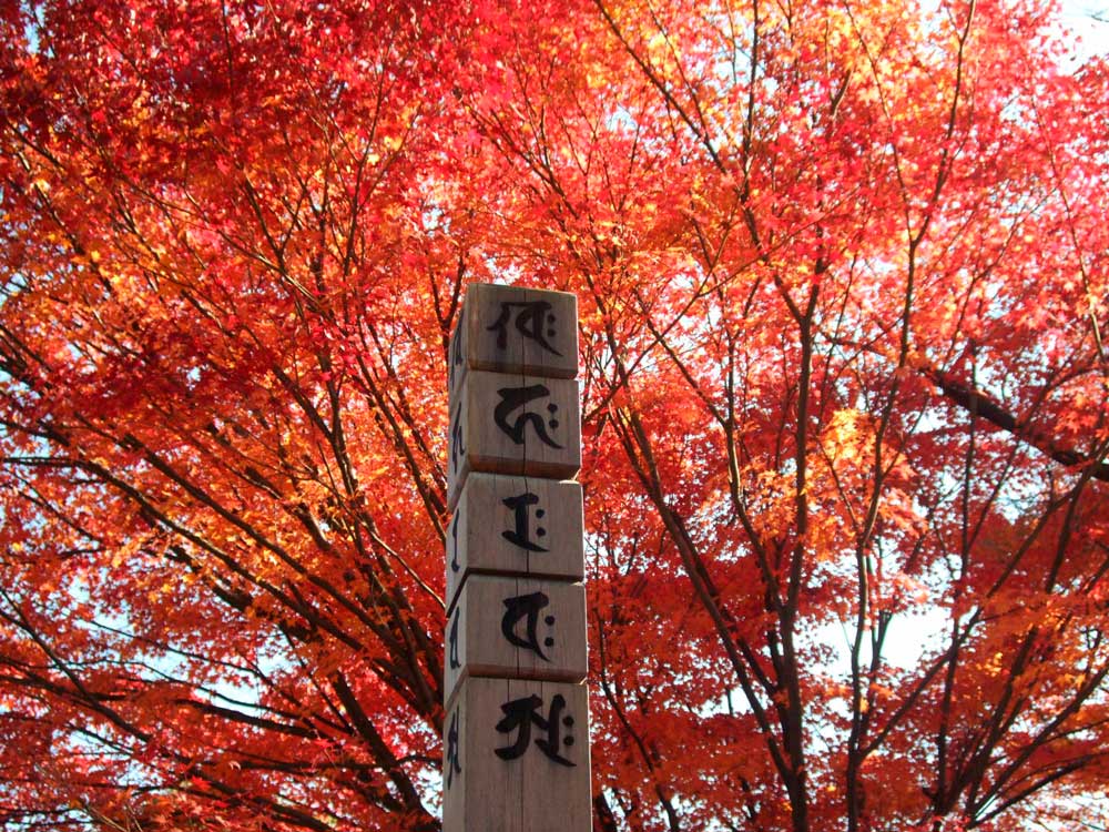 位牌に梵字は必要?