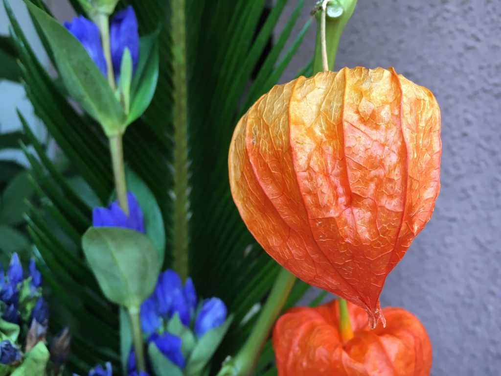 お盆飾りとしてのほおずきの飾り方