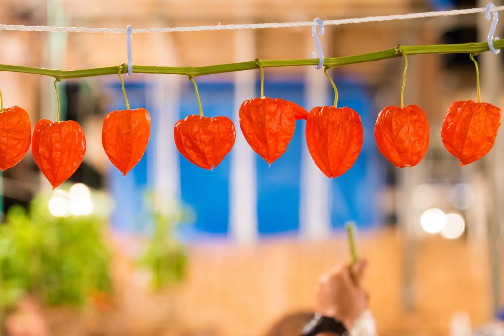 お盆飾りとしてのほおずきの飾り方